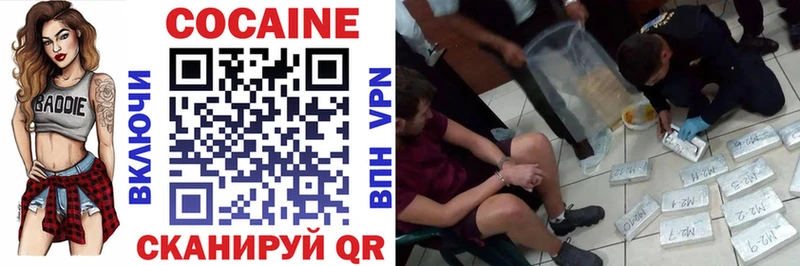 Cocaine FishScale  Купить закладки  Николаевск-на-Амуре 