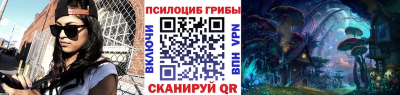 Псилоцибиновые грибы мухоморы  Купить закладки  Николаевск-на-Амуре 